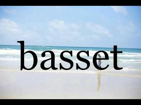 How To Pronounce basset🌈🌈🌈🌈🌈🌈Pronunciation Of basset