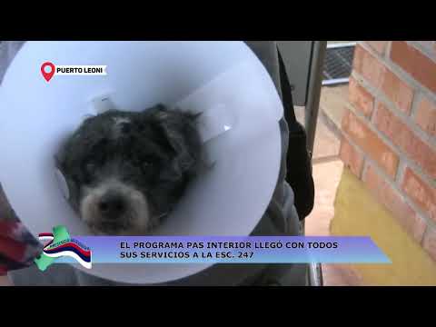 PUERTO LEONI: EL PROGRAMA PAS INTERIOR LLEGÓ CON TODOS SUS SERVICIOS A LA ESC. Nº247