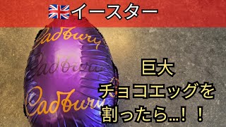 【イギリスのイースター】巨大チョコエッグ割ってみたら意外過ぎた🍫🇬🇧
