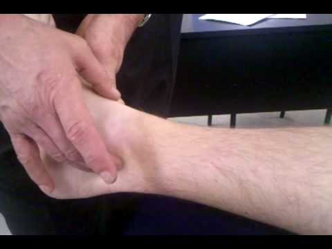 Dorsal Pedal Pulse and Posterior Tibial Artery - ST