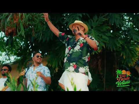 BUENA VIBRA -  WASON BRAZOBAN   (UNA TARDE DE VERANO)