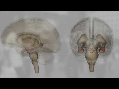 TakT - Emotional Confinement