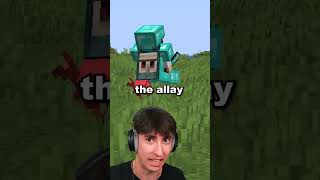 Never Give This Item to an Allay
