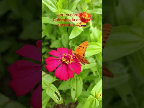 paisajes hermosos de lorica córdoba Colombia 🇨🇴🇨🇴