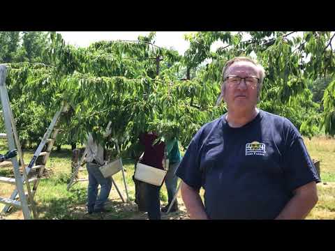 Farming and Covid Care