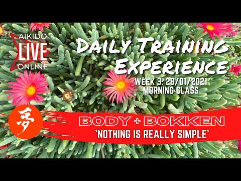 AIKIDO ONLINE / BODY + BOKKEN 'Nothing is Really Simple' / Daily Training Experience 28/01/21
