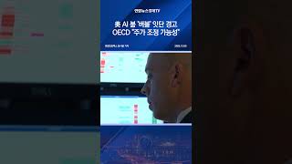 美 AI 붐 '버블' 잇단 경고…OECD "주가 조정 가능성"