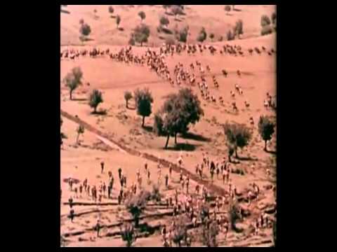 Tsar Kaloyan against Latin Empire