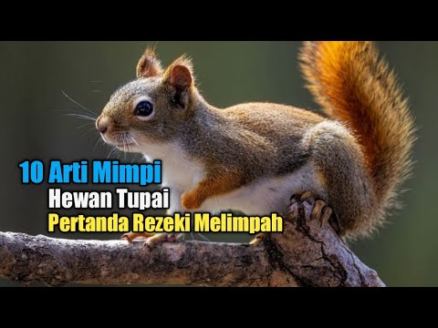 10 Arti Mimpi Hewan Tupai, Pertanda Rezeki Melimpah