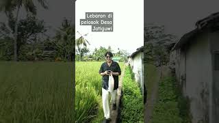 Download lagu Suasana Lebaran Silaturrahmi di dulur2 Kenonklopo - Jatiguwi#silaturahmi #lebaran #idulfitri mp3