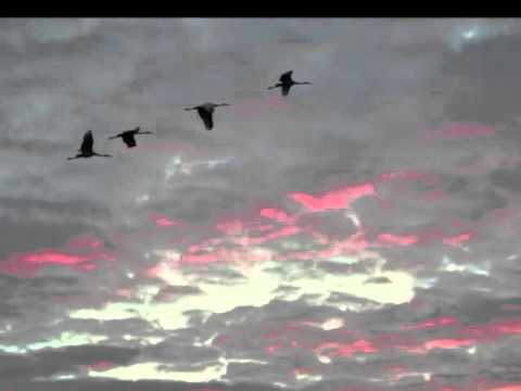 Relax to the Bible - Psalm 3