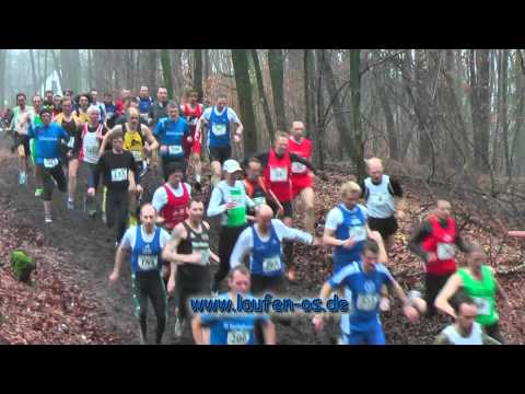 Landesmeisterschaften im Cross 2011 - www.laufen-os.de - Männer Kurzstrecke
