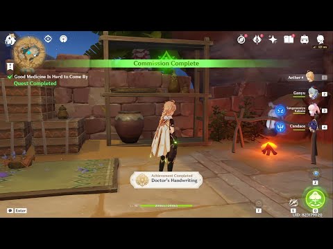 [Commission Quest] Good Medicine Is Hard to Come By *Achievement*