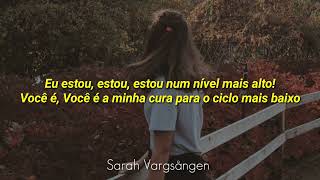 Skillet - Cycle Down (Tradução / Legendado)