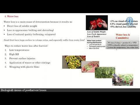 FAO training for Pacific SIDS - Biological causes of postharvest losses