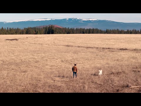 Liam St. John - Devil In Disguise (feat. Houndmouth) (Visualizer)