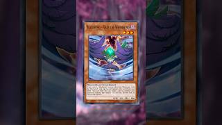 THE BIGGEST ARCHETYPES IN YUGIOH!