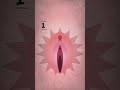L'excision, c'est quoi ? 👧🏽 🧑🏽‍⚕️♀️Animation TikTok - GAMS - Vidéostorytelling by Néologis