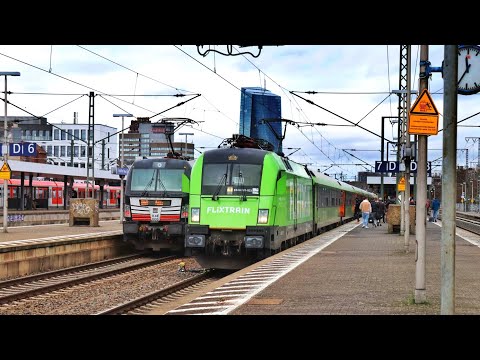 Züge in Frankfurt Süd.