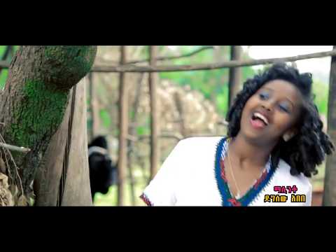 Ethiopia- Mistre Manalimosh Dibo - Dimam Sew - NEW! Ethiopian Music Video