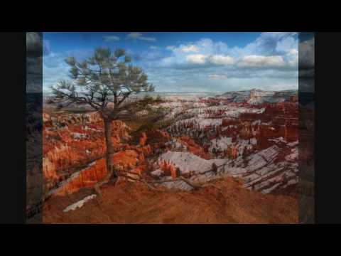 Alexander Daf - Some New Depression