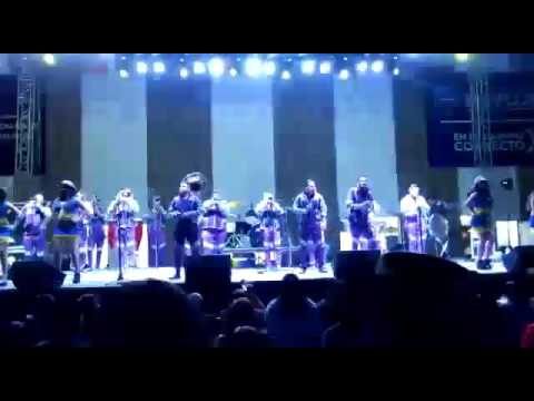 Banda repokitos de navojoa sonora