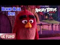 Behind Blue Eyes Song Video Song Angry Birds Movie Limp Bizkit 4K FUHD Angrybirds