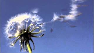 Roberto Rusconi De Arte Respirandi 1