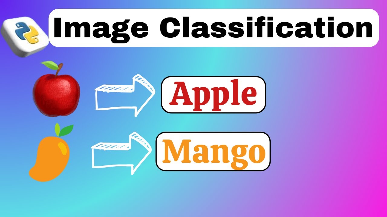 Image Classification Project in Python and web app - CNN