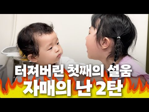 결국 터져버린 이지혜 딸 태리의 분노(자매의 난,태리,엘리)