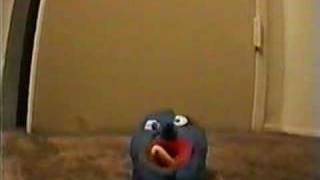 clay stoner puffing sucking