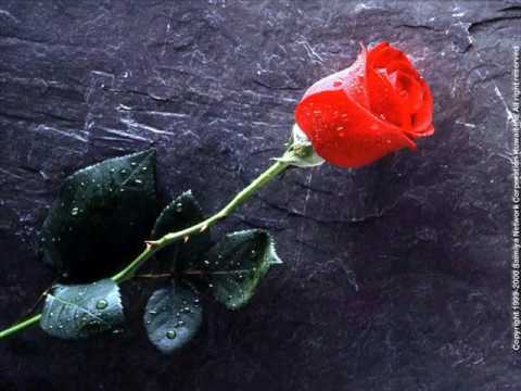 Marizo lausto sirzu dziesma