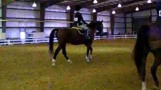 Me and Zen - OU IHSA hunt horse show