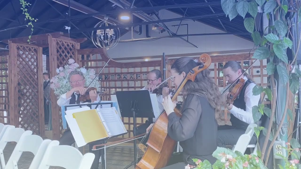 Promotional video thumbnail 5 for Aurora Quartet
