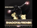Holla At You (Remix) - Shaggy