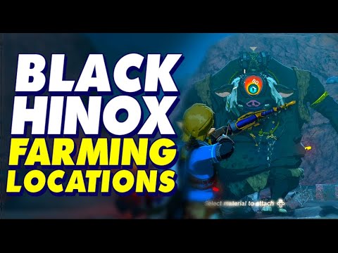 BLACK HINOX Farming Locations | Legend of Zelda Tears of the Kingdom Gameplay #totk