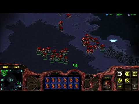 Starcraft Brood War Zerg Ladder