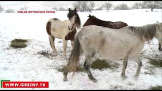 В Ножай-Юртовском районе реализуют ряд программ по развитию муниципалитета