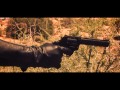 The Temporary Thing - "Unconditional ...