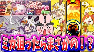 ぷにぷに『回したらまさかの出来事がｗハッピーハロウィンミカがニャンボで登場！』Yo-kai Watch
