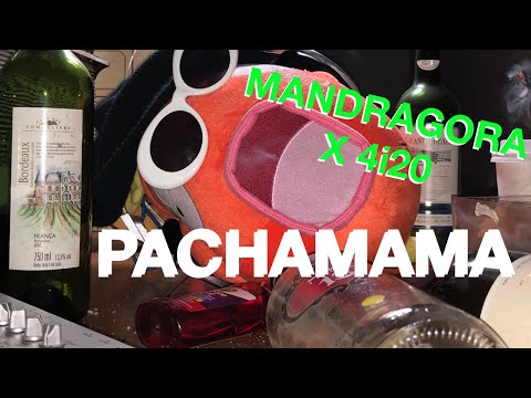 Mandragora x 4i20 - Pachamama 170BPM (Official Music Video)
