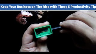 Keep Your Business on The Rise with These 5 Productivity Tips
