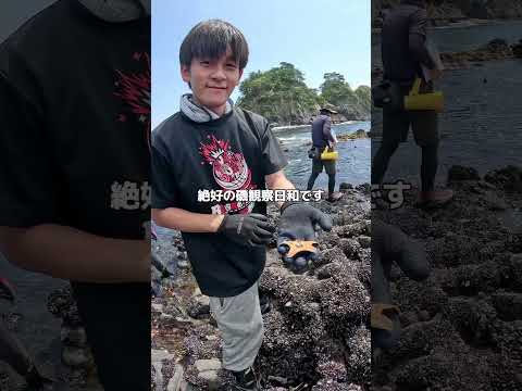 海洋生物・環境科学実習（ベントス調査編）