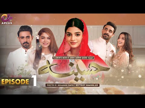 Haseena — #24 Best Geo TV Drama