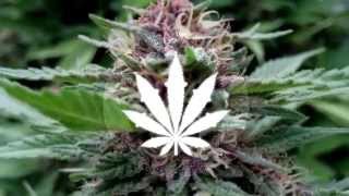 Pete Rock &amp; InI - Think Twice