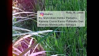 Download lagu Story wa | vagetoz, kehadiranmu mp3