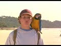 The Real Macaw 1998