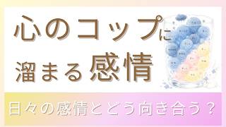 【HSPな方必見🕊️】自分の感情がわからなくなる時にやるといいこと