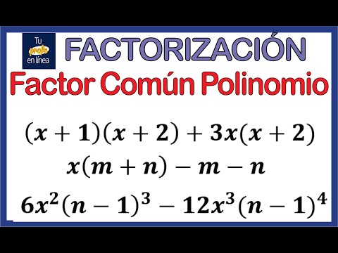 💥FACTORING 02: Common Factor Polynomial🚀