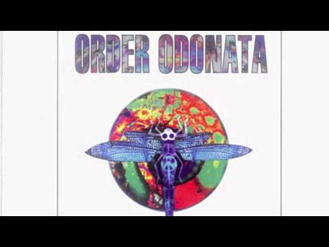 Zodiac Youth - Fast Forward The Future (Voodoo People Remix)